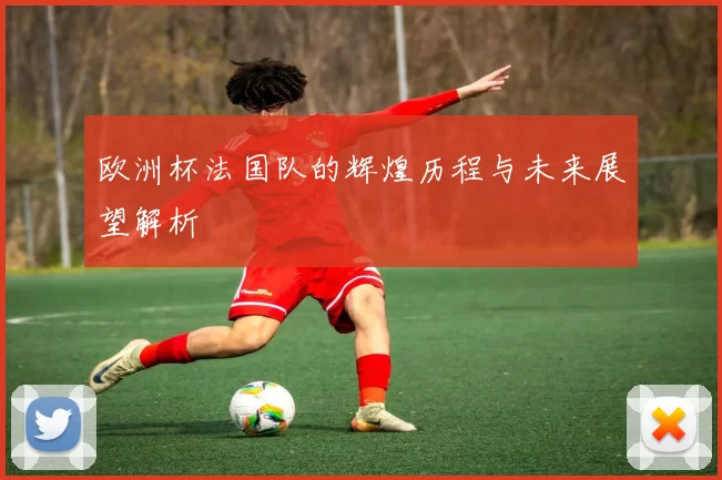 欧洲杯法国队的辉煌历程与未来展望解析