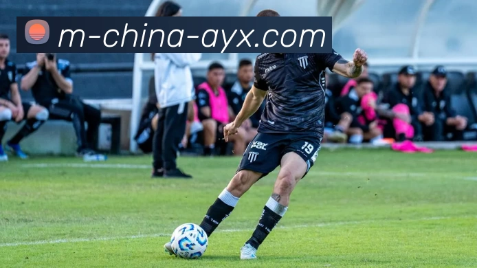 App Interface Preview