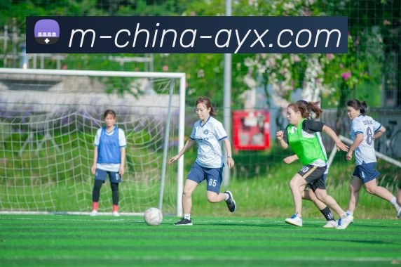 爱游戏APP 封面图